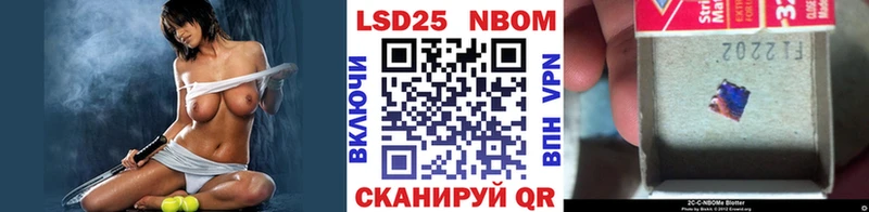 kraken вход  Пудож  Марки N-bome 1,8мг  где купить наркоту 